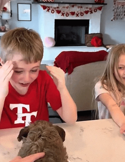 Mon chiot robot réaliste